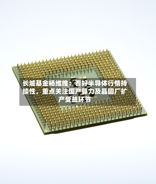 长城基金杨维维：看好半导体行情持续性，重点关注国产算力及晶圆厂扩产受益环节