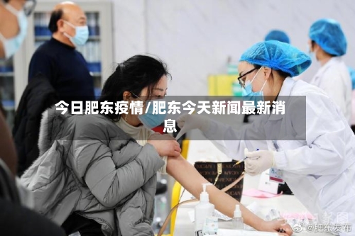 今日肥东疫情/肥东今天新闻最新消息-第2张图片