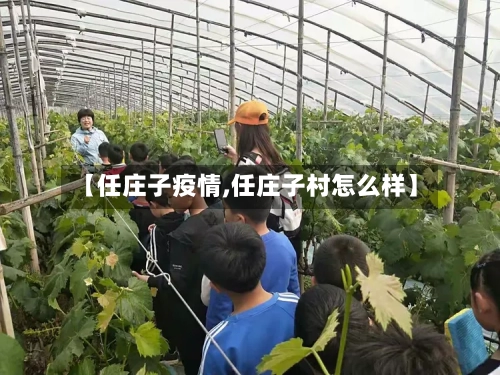 【任庄子疫情,任庄子村怎么样】