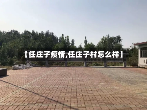 【任庄子疫情,任庄子村怎么样】-第2张图片