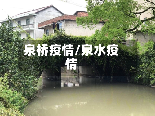 泉桥疫情/泉水疫情