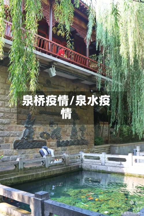 泉桥疫情/泉水疫情-第3张图片