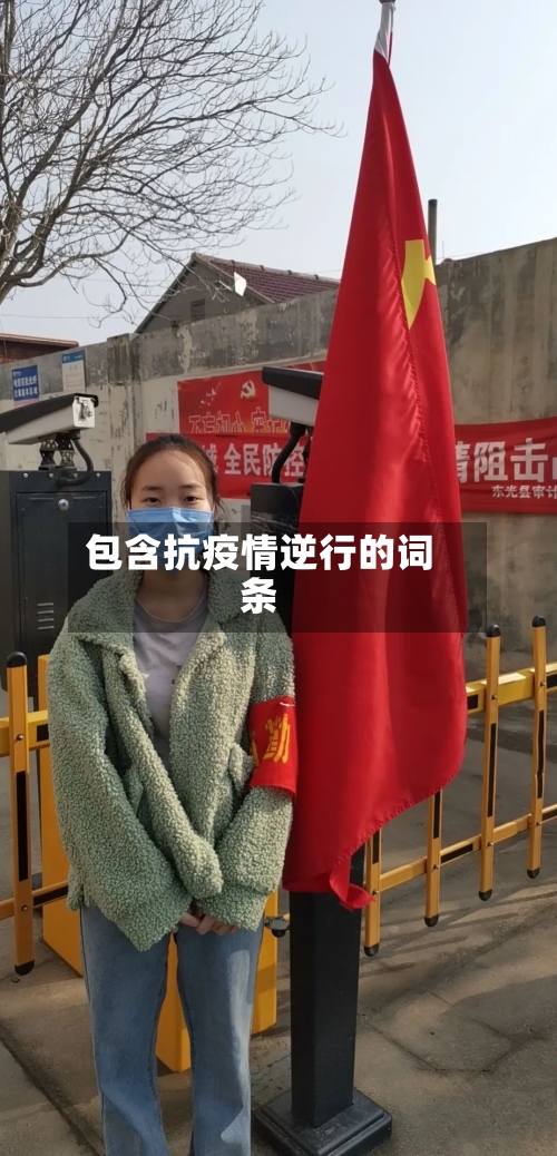 包含抗疫情逆行的词条-第2张图片
