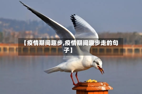 【疫情期间趣步,疫情期间趣步走的句子】