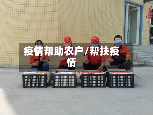 疫情帮助农户/帮扶疫情-第2张图片