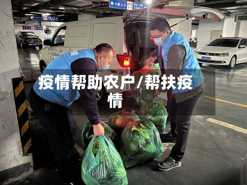 疫情帮助农户/帮扶疫情