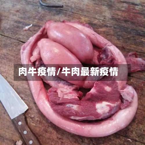 肉牛疫情/牛肉最新疫情