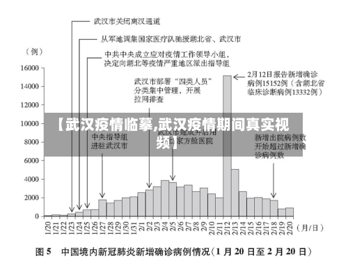 【武汉疫情临摹,武汉疫情期间真实视频】