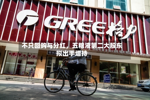 不只回购与分红，五粮液第二大股东拟出手增持