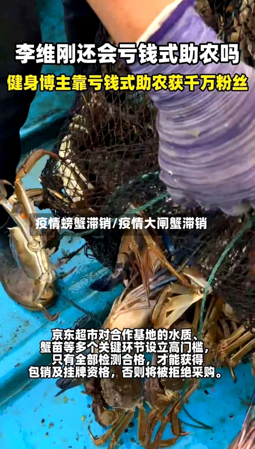 疫情螃蟹滞销/疫情大闸蟹滞销