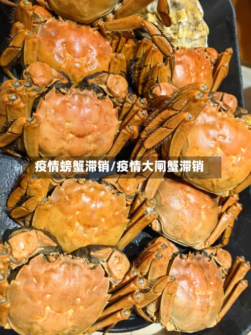 疫情螃蟹滞销/疫情大闸蟹滞销-第2张图片