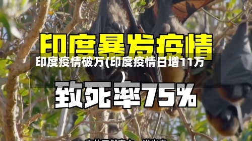印度疫情破万(印度疫情日增11万)-第2张图片