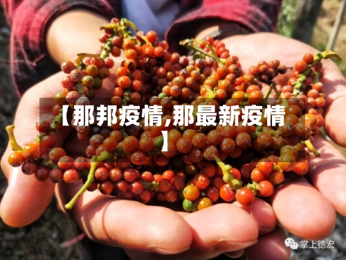 【那邦疫情,那最新疫情】-第3张图片