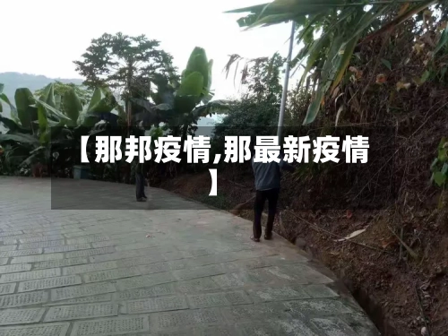 【那邦疫情,那最新疫情】-第2张图片
