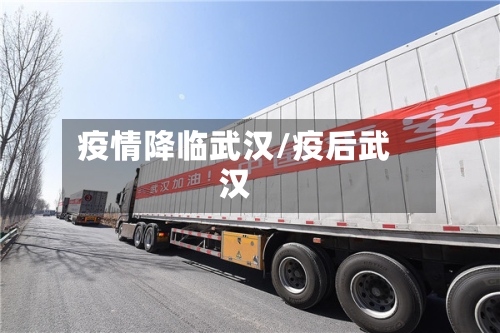 疫情降临武汉/疫后武汉