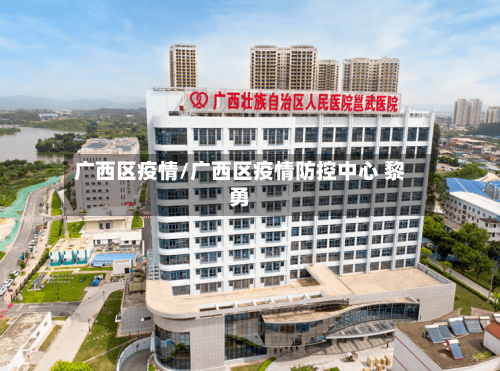 广西区疫情/广西区疫情防控中心 黎勇-第2张图片