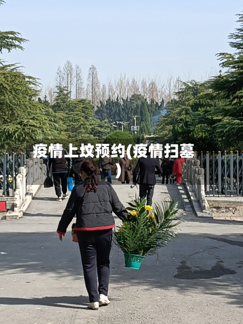 疫情上坟预约(疫情扫墓)-第2张图片
