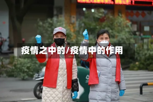 疫情之中的/疫情中的作用