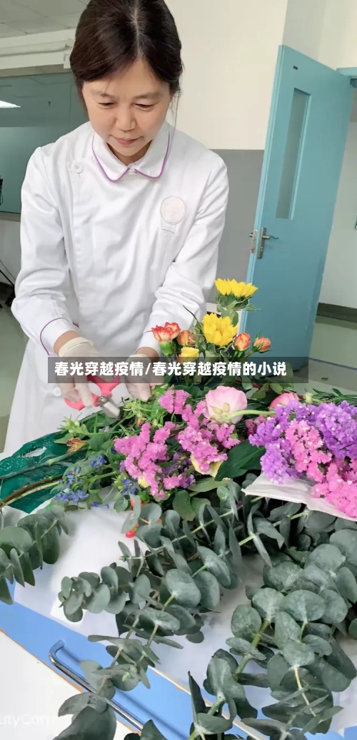 春光穿越疫情/春光穿越疫情的小说