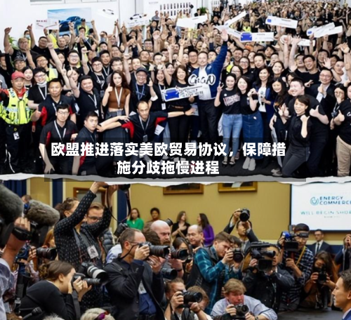 欧盟推进落实美欧贸易协议，保障措施分歧拖慢进程