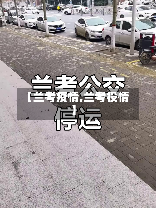 【兰考疫情,兰考役情】-第3张图片