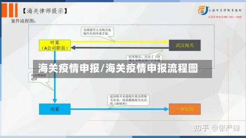 海关疫情申报/海关疫情申报流程图