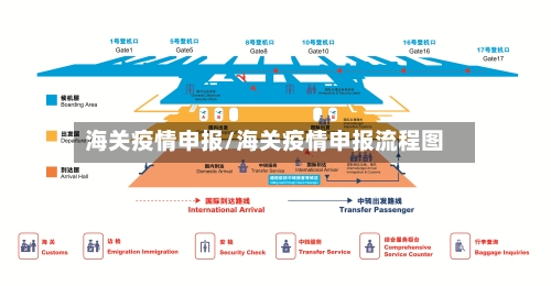 海关疫情申报/海关疫情申报流程图-第2张图片