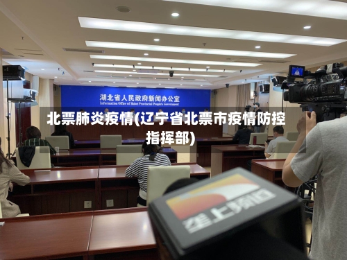 北票肺炎疫情(辽宁省北票市疫情防控指挥部)-第3张图片