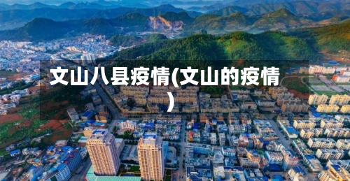 文山八县疫情(文山的疫情)-第2张图片