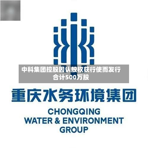 中科集团控股因认股权获行使而发行合计500万股-第2张图片