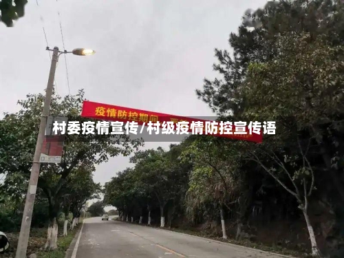 村委疫情宣传/村级疫情防控宣传语