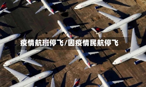 疫情航班停飞/因疫情民航停飞