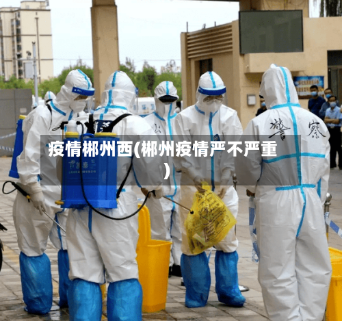 疫情郴州西(郴州疫情严不严重)