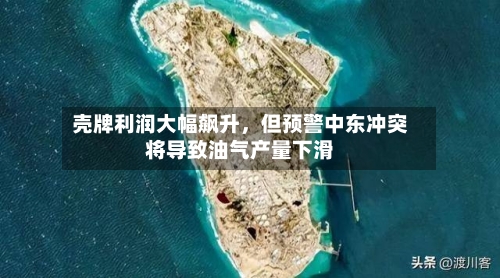 壳牌利润大幅飙升，但预警中东冲突将导致油气产量下滑-第2张图片