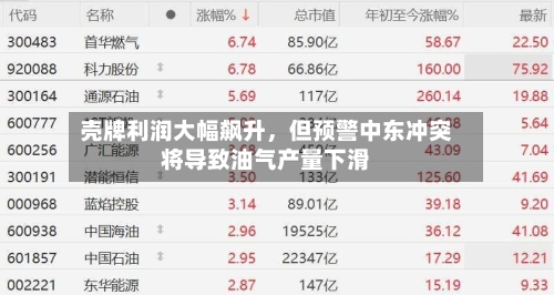 壳牌利润大幅飙升，但预警中东冲突将导致油气产量下滑