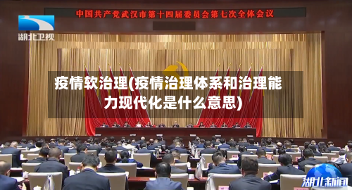 疫情软治理(疫情治理体系和治理能力现代化是什么意思)
