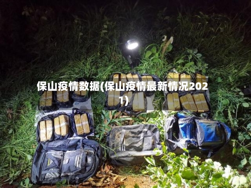 保山疫情数据(保山疫情最新情况2021)-第2张图片