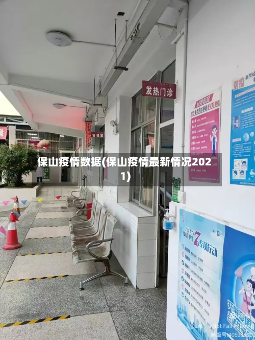 保山疫情数据(保山疫情最新情况2021)-第3张图片