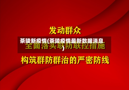 茶陵新疫情(茶陵疫情最新数据消息)-第3张图片