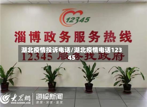 湖北疫情投诉电话/湖北疫情电话12345