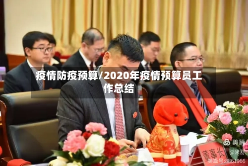 疫情防疫预算/2020年疫情预算员工作总结-第2张图片