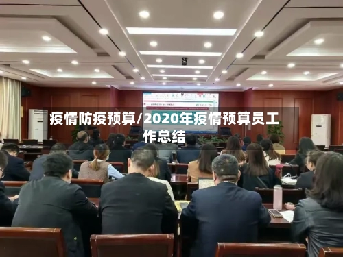 疫情防疫预算/2020年疫情预算员工作总结