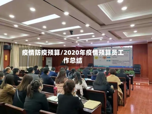 疫情防疫预算/2020年疫情预算员工作总结-第3张图片