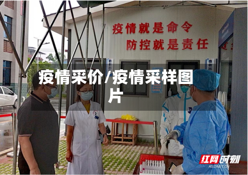 疫情采价/疫情采样图片-第3张图片