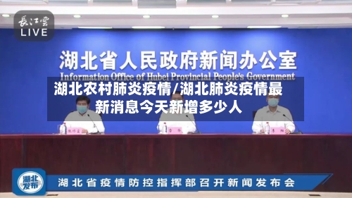 湖北农村肺炎疫情/湖北肺炎疫情最新消息今天新增多少人-第3张图片