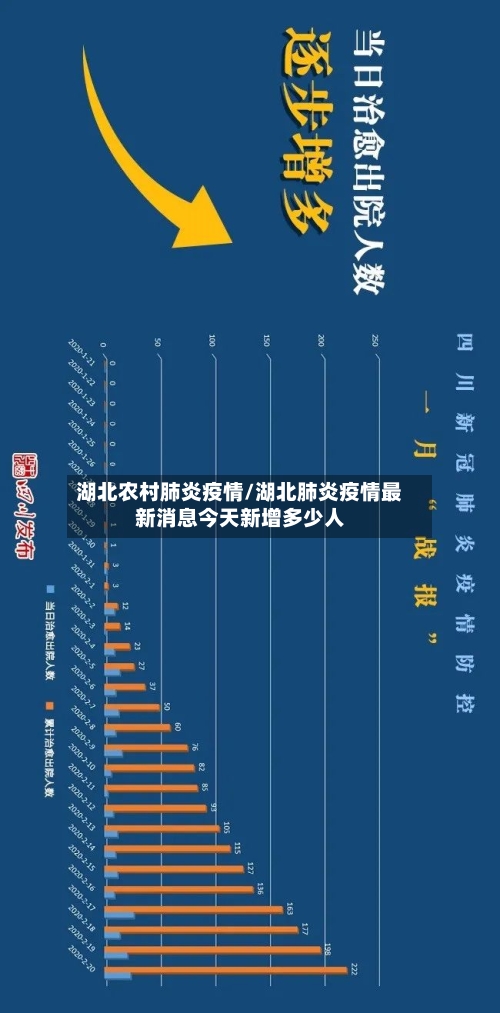 湖北农村肺炎疫情/湖北肺炎疫情最新消息今天新增多少人-第2张图片