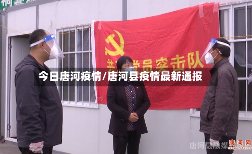 今日唐河疫情/唐河县疫情最新通报-第2张图片