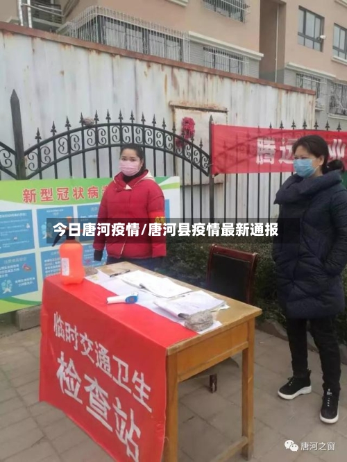 今日唐河疫情/唐河县疫情最新通报