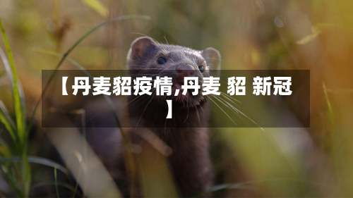 【丹麦貂疫情,丹麦 貂 新冠】
