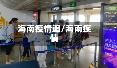 海南疫情追/海南疾情